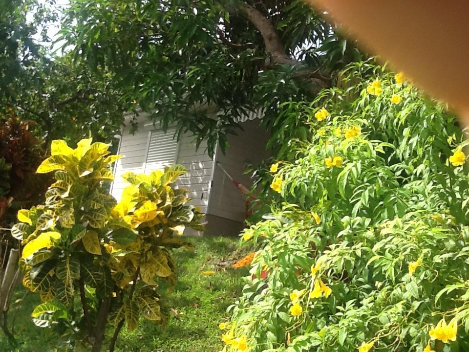 Bungalow Le Manikou Le Robert Exterior photo